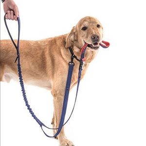 We For Dogs Leash <40 lbs